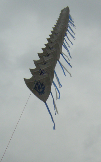 The 50 Blue Peter kites flying