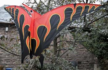 Flamin' Pterodactyl