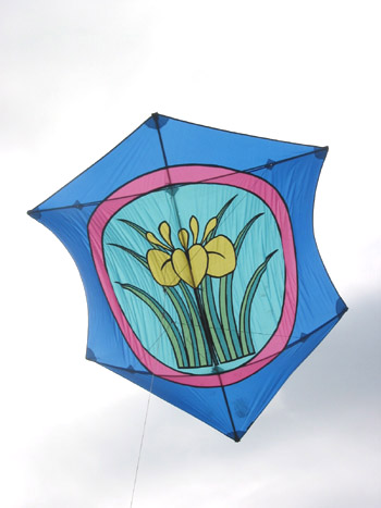 Iris Rokkaku Kite