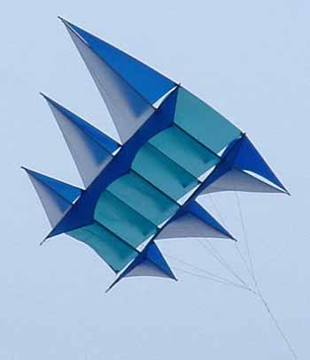 Multi-jib Kite