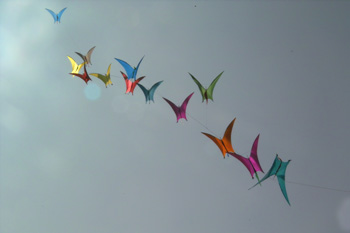 Pterodactyl Kite Train