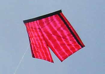 Tie dye shorts kite