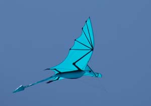 Pterodactyl XL Kite