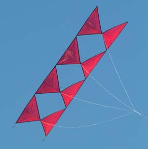 Four Wing Thing