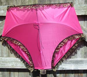 Ladies Knickers Kite