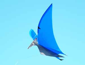 Pterodactyl Kite