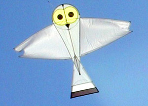 Snowy Owl Kite