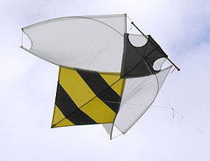 Yakko Bee Kite