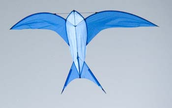 Swallow Kite