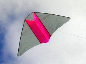 Dunton Delta Kite