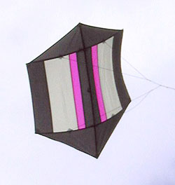 1.2m Rokkaku Kite