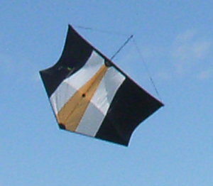 Pipa Kite