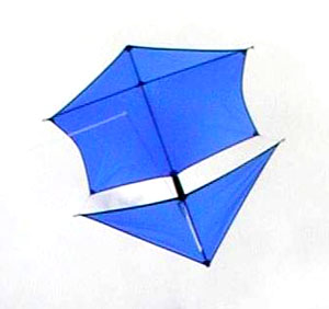 Pearson Roller Kite