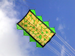 Winged Edo Kite
